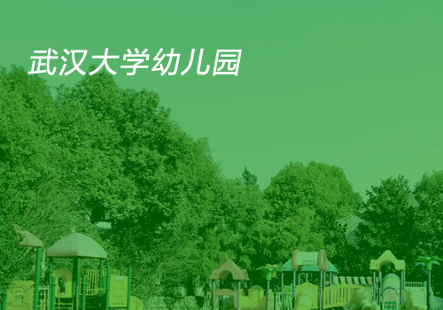幼儿园网站制作-武汉网站设计