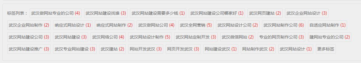 武汉网站公司,TAG标签显示在首页和列表页