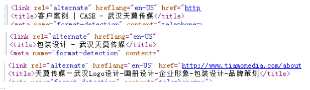 错误的页面标题写法