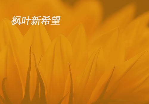 新希望教育-武汉网站设计