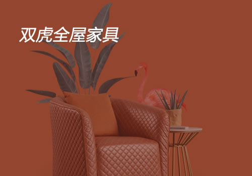 双虎全屋家居-武汉网站设计