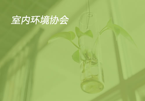 室内环境协会-武汉网站制作