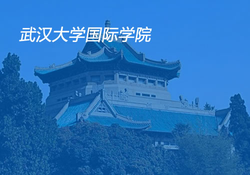 武汉大学国际教育学院-武汉网站设计